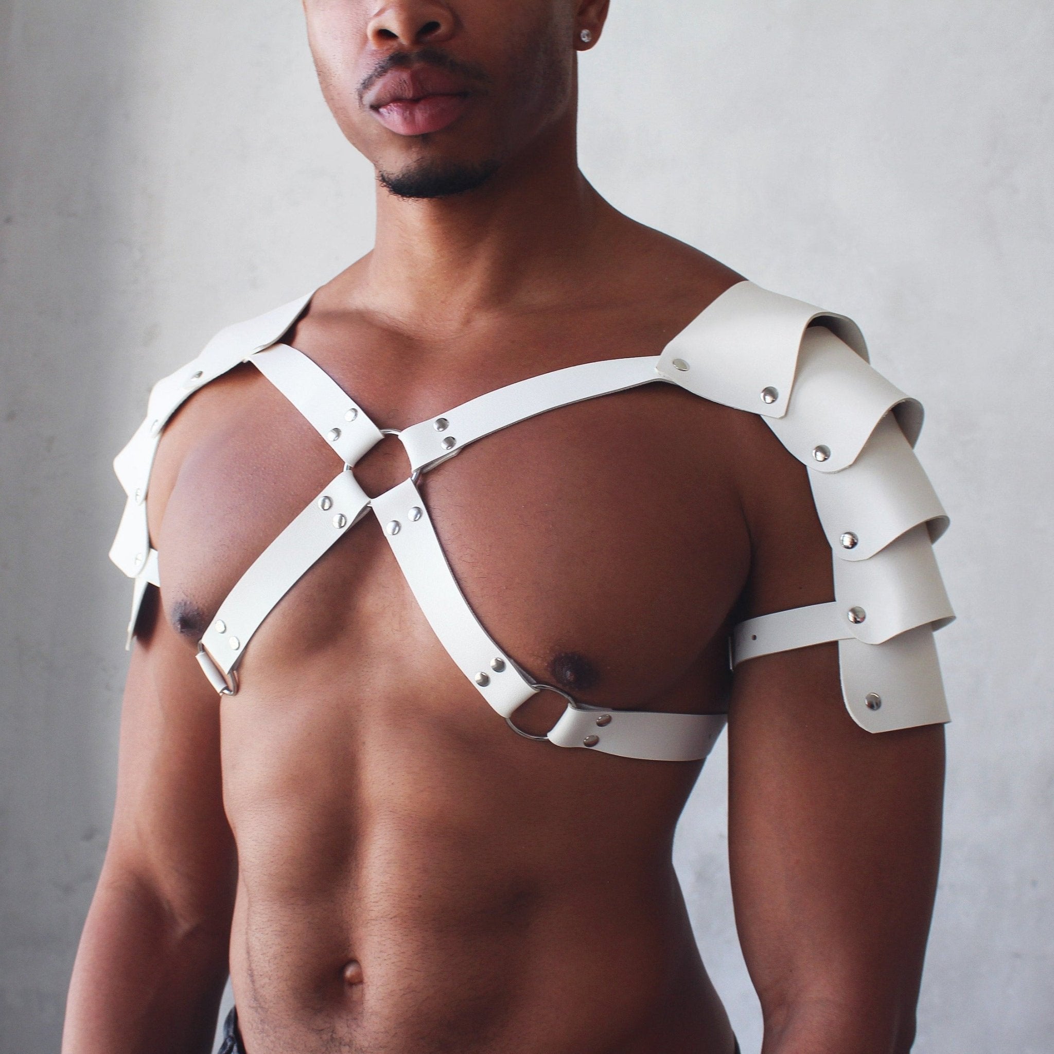 Armored Dual Shoulder Harness