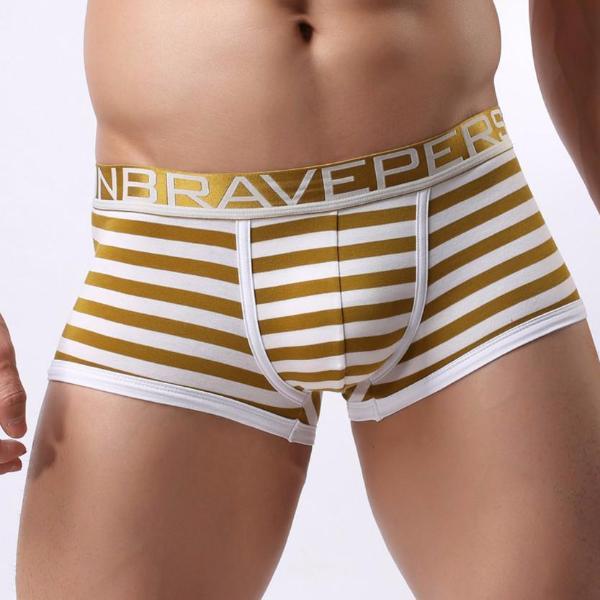 Brave Person Striped Boxer Briefs