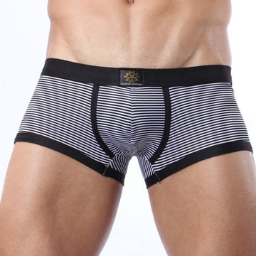 Brave Person Striped Lycra Boxer Briefs