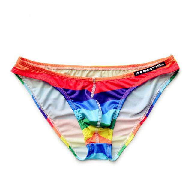 Desmiit Rainbow Swim Briefs