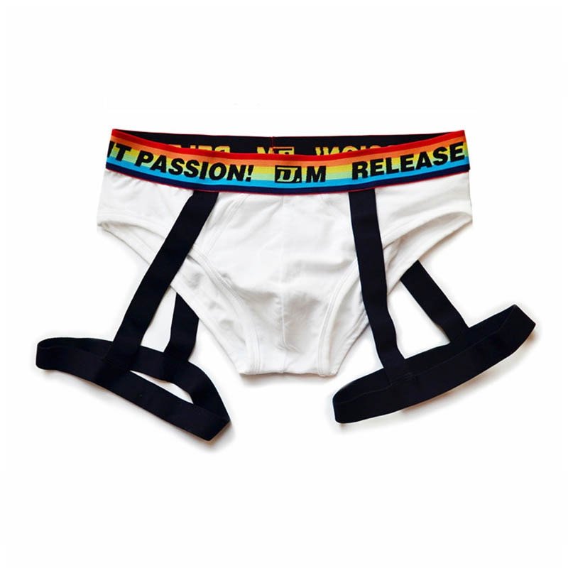 DM Rainbow Passion Garter Briefs