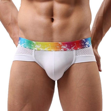 Rainbow Band Mesh Briefs