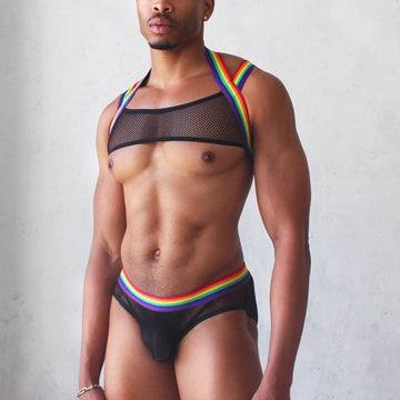 Rainbow Mesh Harness + Briefs